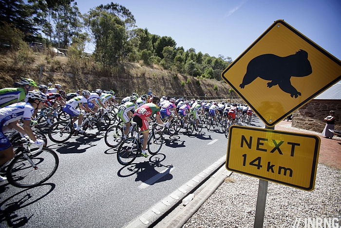 tour down under 2016